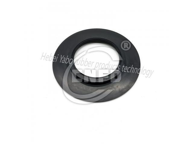 Oil seal:198636170