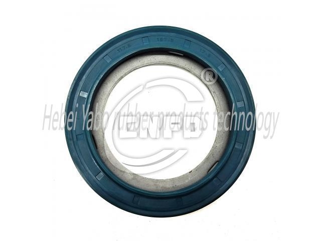 Oil seal:10045884