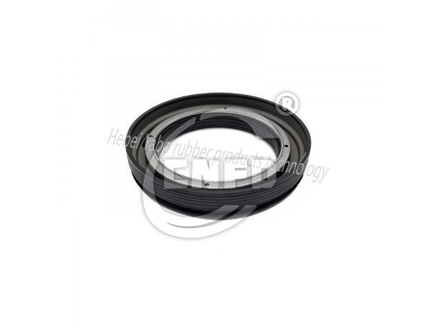 Oil seal:10080745